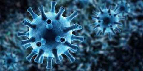 Coronavirus, in Puglia un solo nuovo caso: positivo lo 0,08% dei tamponi